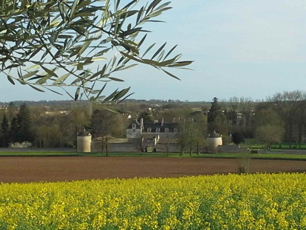 Villa Au Grain D'Orge Echire Exterior foto